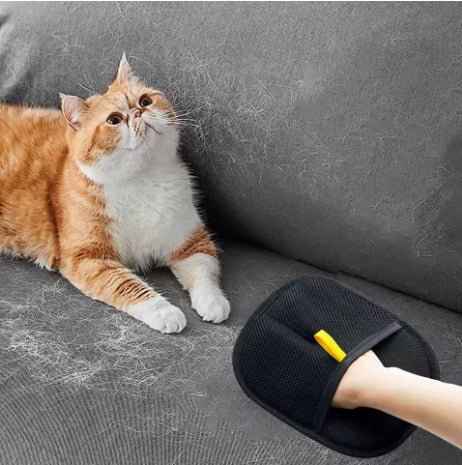 Fur Remover Glove - HEARTLESS Habits