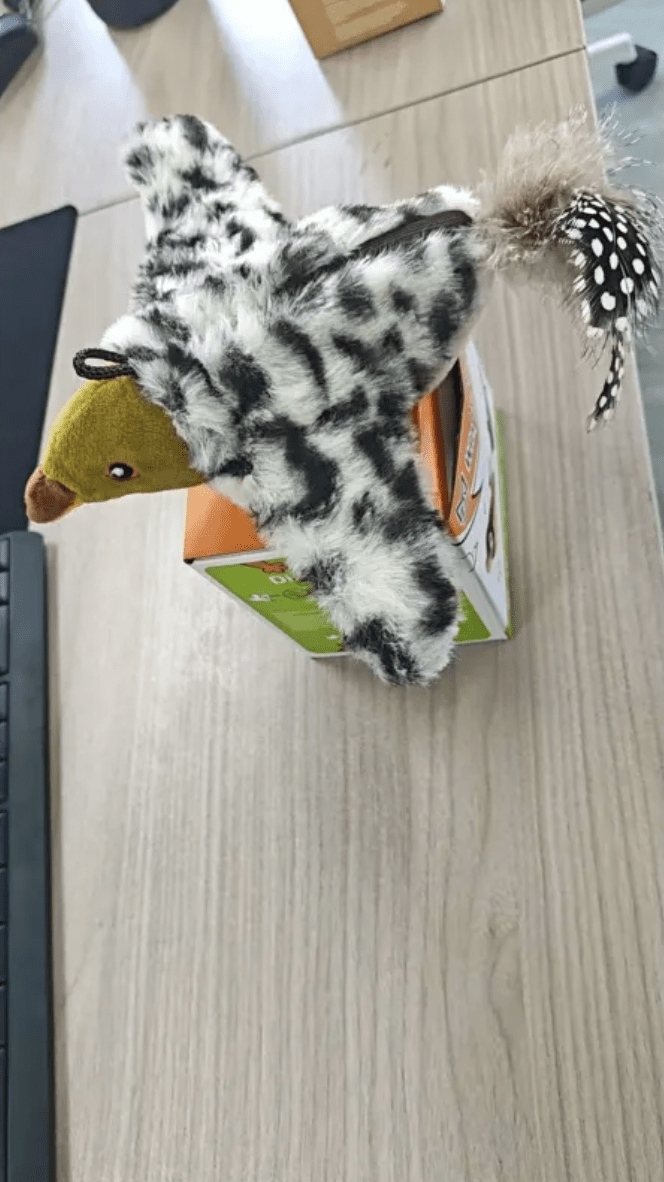 Plush Bird Pet Toy - HEARTLESS Habits