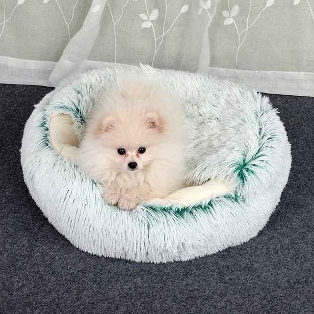 2-in1 Pet Bed - HEARTLESS Habits