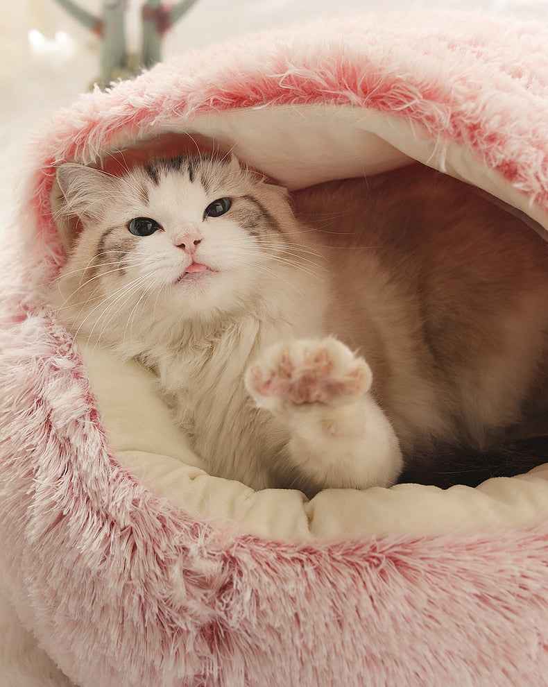 2-in1 Pet Bed - HEARTLESS Habits