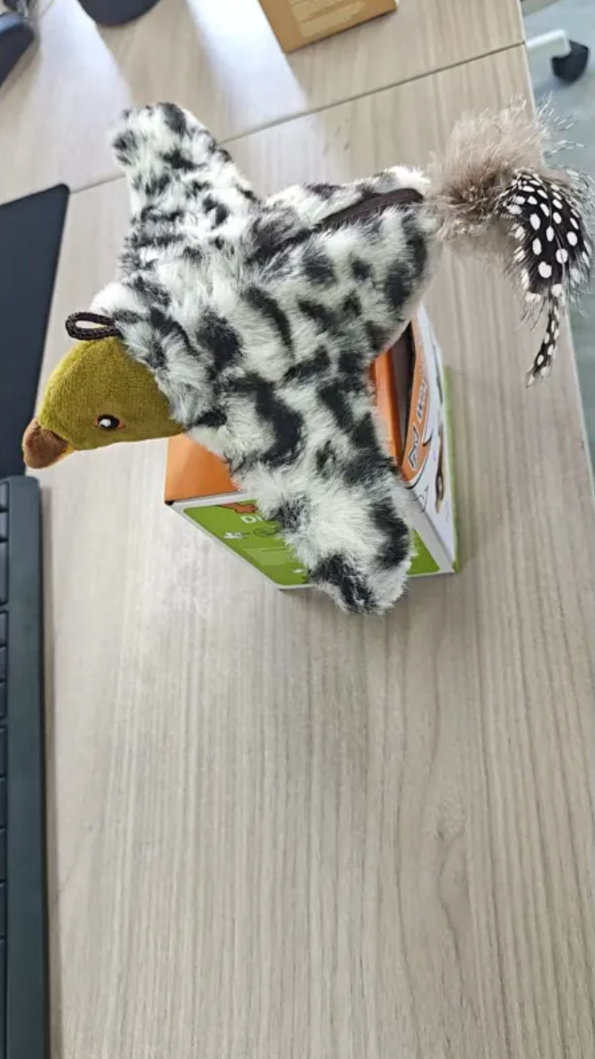 Plush Bird Pet Toy - HEARTLESS Habits